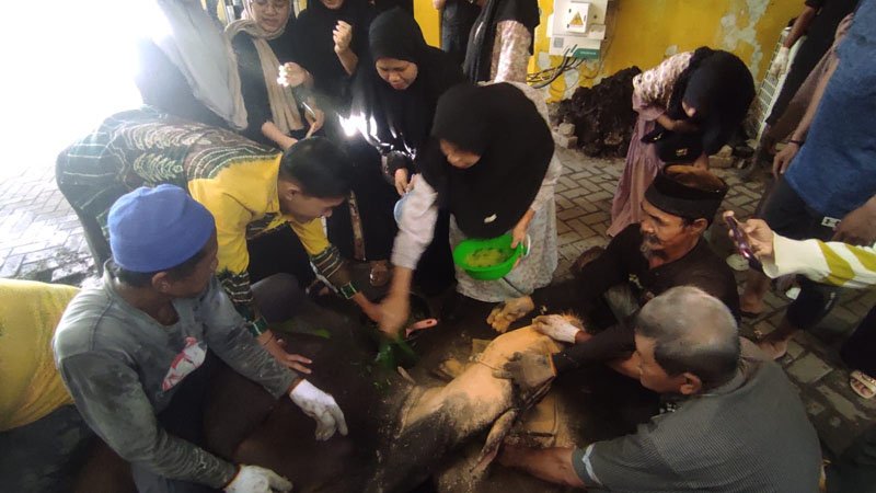 Iduladha Golkar Kalsel Sebut Tradisi Iman, dan Aksi Nyata untuk Masyarakat 1 Hal 5 3 Klm Golkar Kalsel
