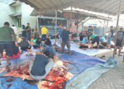 LDII Kalsel Sebar 80 Ribu Lebih Paket Daging Kurban di Banua 8 LDII Kalsel Sebar 80 Ribu Lebih Paket Daging Kurban di Banua