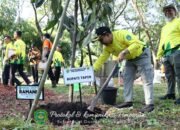 Peringati Hari Lingkungan Hidup Sedunia 2025, Pemkab Gaungkan Gerakan "Tapin Klasik" 37 Peringati Hari Lingkungan Hidup Sedunia 2025, Pemkab Gaungkan Gerakan “Tapin Klasik”