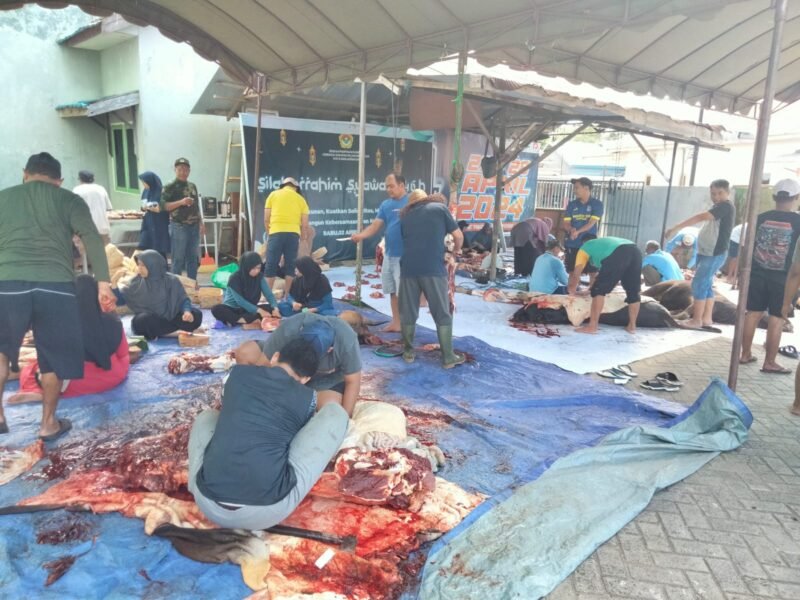 IMG 20250606 WA0045 e1749215274929