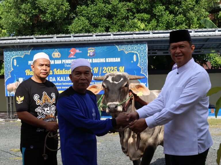 IMG 20250607 WA0010 1