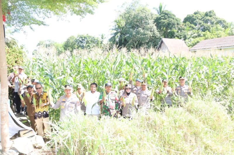 IMG 20250607 WA0020 1 e1749287882190