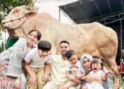 Ayu Ting Ting, Atta hingga Raffi Ahmad Berkurban di Hari Raya Idul Adha 1446 H 39 Ayu Ting Ting, Atta hingga Raffi Ahmad Berkurban di Hari Raya Idul Adha 1446 H