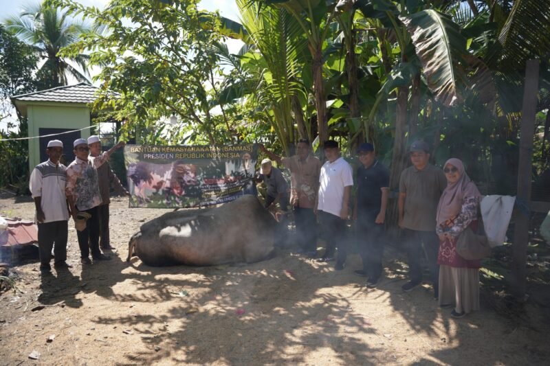 IMG 20250608 WA0024 scaled e1749379560549