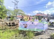 Idul Adha 1446 H, PT Talenta Bumi Sebar 10 Ekor Sapi 41 Idul Adha 1446 H, PT Talenta Bumi Sebar 10 Ekor Sapi