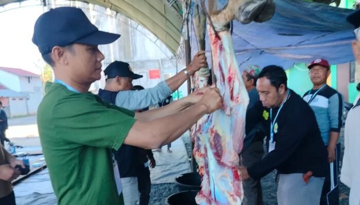Semangat Kurban Uniska MAB Meningkat, 8 Ekor Sapi untuk Warga dan Civitas