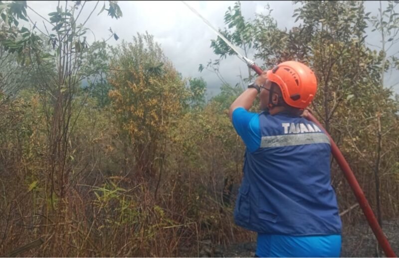 IMG 20250613 WA0065 1 e1749819910350