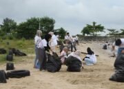 PLN Icon Plus Bersihkan Pesisir Balikpapan, 800 Kg Sampah Dikumpulkan di Hari Lingkungan Hidup 8 PLN Icon Plus Bersihkan Pesisir Balikpapan, 800 Kg Sampah Dikumpulkan di Hari Lingkungan Hidup