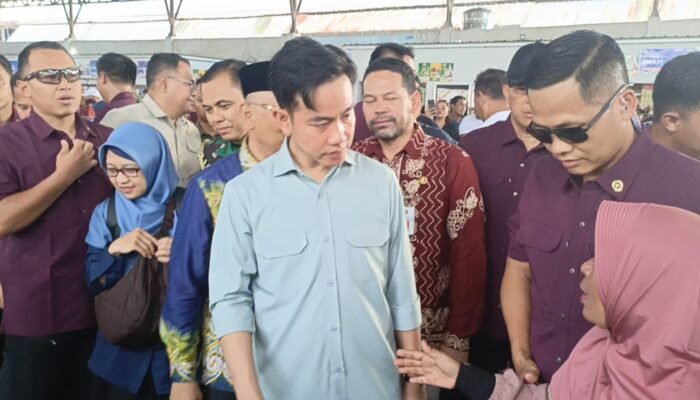 Sapa Pedagang, Wapres RI Kunjungi Pasar Tanjung