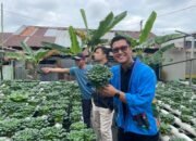 Inovasi Hidroponik Rumah BUMN Pertamina, Kolaborasi untuk Ketahanan Pangan Kalsel 25 Inovasi Hidroponik Rumah BUMN Pertamina, Kolaborasi untuk Ketahanan Pangan Kalsel