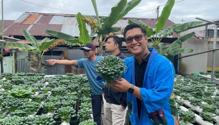 Inovasi Hidroponik Rumah BUMN Pertamina, Kolaborasi untuk Ketahanan Pangan Kalsel