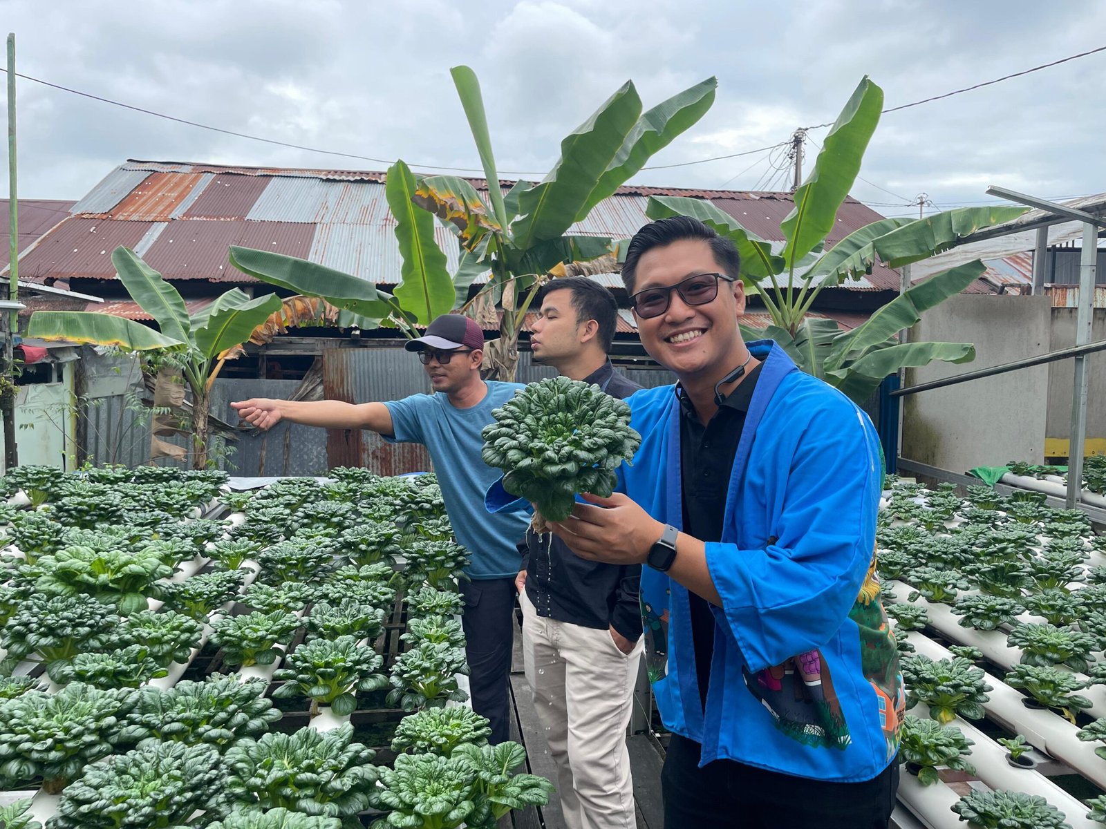 Inovasi Hidroponik Rumah BUMN Pertamina, Kolaborasi untuk Ketahanan Pangan Kalsel 1 IMG 20250620 WA0032 scaled