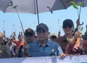 Dislutkan Kalsel Tanam 113.000 Pohon Mangrove, Rehabilitasi Kawasan Pesisir Kritis 35 Dislutkan Kalsel Tanam 113.000 Pohon Mangrove, Rehabilitasi Kawasan Pesisir Kritis