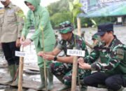 Kodim 1022/Tanah Bumbu Gelar Tanam Mangrove 20 Kodim 1022/Tanah Bumbu Gelar Tanam Mangrove