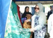 Bazar UMKM Tapin Ajang Promosi Produk Lokal 8 Bazar UMKM Tapin Ajang Promosi Produk Lokal