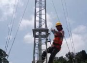 Atasi Blank Spot Diskominfosan Balangan Bangun Sembilan Menara Internet 46 Atasi Blank Spot Diskominfosan Balangan Bangun Sembilan Menara Internet