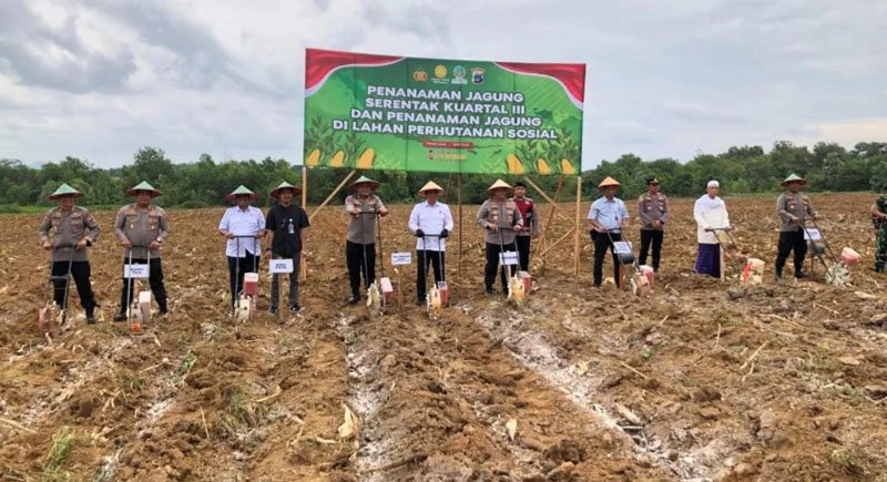 Wabup Tala Hadiri Penanaman Jagung Serentak Kuartal III 1 Hal 2 Tala 3 klm 8