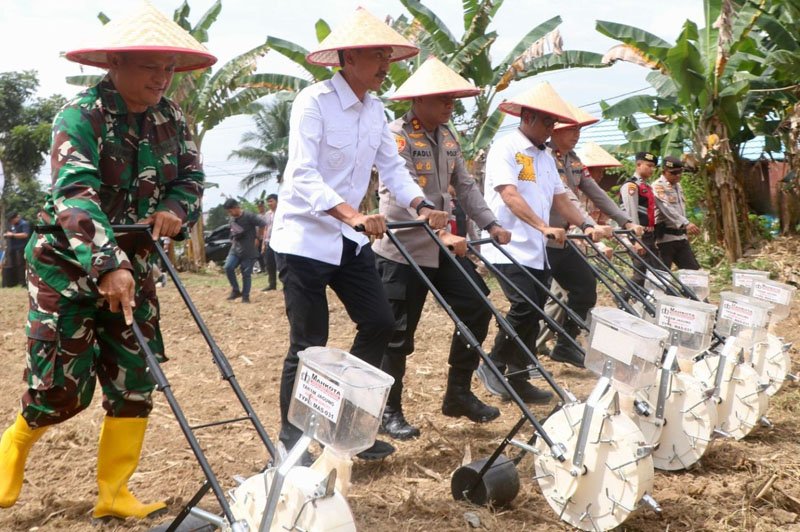 Penanaman Jagung Serentak, Banjar Dukung Ketahanan Pangan 1 Hal 4 4 KLm MTP Penanaman Jagung Serentak