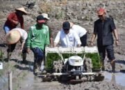 Legislator Apresiasi Bantuan Alsintan Untuk Petani di Kapuas 25 Legislator Apresiasi Bantuan Alsintan Untuk Petani di Kapuas