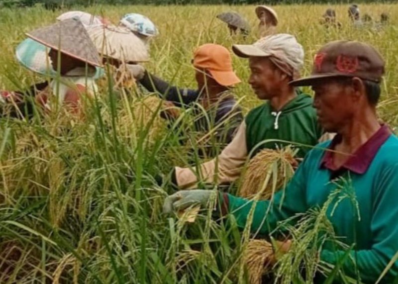 Hal 6 3 KLm Astambul