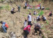 500 Bibit Pohon Ditanam di Gunung Batu
