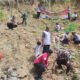 Hal 6 3 Klm Pohon di Tanam di Gunung Batu
