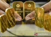 Harga Emas UBS dan Galeri24 Kompak Naik