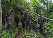 Cegah Karhutla, Satpol PP Kalteng Beri Edukasi ke Masyarakat 13 Cegah Karhutla, Satpol PP Kalteng Beri Edukasi ke Masyarakat