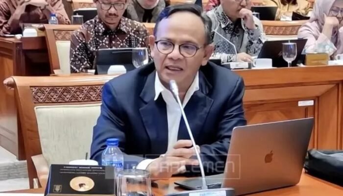 Fenomena Maraknya Wartawan tak Resmi di Daerah, Ini Tanggapan Dewan Pers