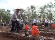 Perkuat Ketahanan Pangan, Kapolda Kalteng Tanam Jagung 17 Perkuat Ketahanan Pangan, Kapolda Kalteng Tanam Jagung