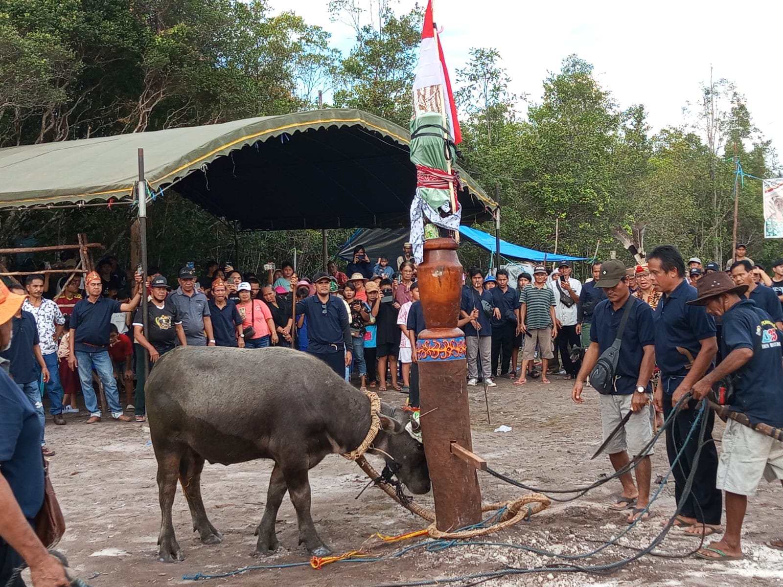 Buntang Hajat, Membayar Nasar Gapai Hidup Sejahtera 1 IMG 20250713 WA0009