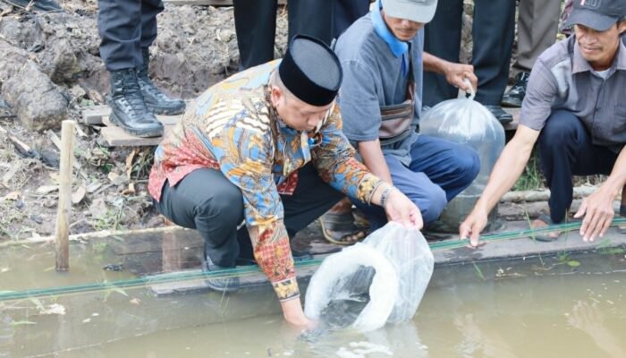 Dorong Produktivitas Perikanan, Bupati Barito Kuala Serahkan Bantuan Sarana Budidaya Ikan 3 IMG 20250715 WA0009