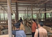 Kandang Komunal Tabalong Diapresiasi, Firman Yusi: Ini Contoh Sukses Peternakan Berbasis Komunitas 8 Kandang Komunal Tabalong Diapresiasi, Firman Yusi: Ini Contoh Sukses Peternakan Berbasis Komunitas