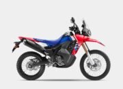 Hadirkan Sensasi Petualangan Baru, CRF250 Series Siap Jelajahi Indonesia