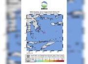 Gempa Magnitudo 5,1 Terjadi di Laut Banda, Dirasakan hingga Wakatobi