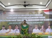 Pemerintah Daerah Dorong Penguatan Kelembagaan Petani Sawit 16 Pemerintah Daerah Dorong Penguatan Kelembagaan Petani Sawit