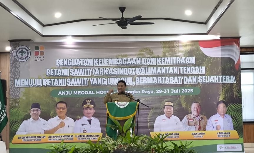 IMG 20250729 WA0068 1