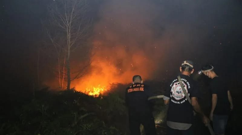 Karhutla di Sekitar Bandara Singkawang Meluas Capai 31 Hektare 1 IMG 20250730 WA0043 1