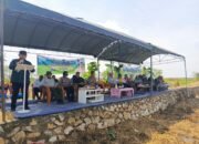 Bupati HST Ikut Tanam Padi Perdana di Desa Kayu Rabah 13 Bupati HST Ikut Tanam Padi Perdana di Desa Kayu Rabah