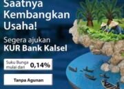 Kurang dan Perlu Tambah Modal Usaha Gak Lagi Jadi Kendala, KUR Bank Kalsel Solusinya 41 Kurang dan Perlu Tambah Modal Usaha Gak Lagi Jadi Kendala, KUR Bank Kalsel Solusinya