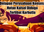Delapan Perusahaan Konsesi Hutan Kalsel Diduga Terlibat Karhutla 32 Delapan Perusahaan Konsesi Hutan Kalsel Diduga Terlibat Karhutla