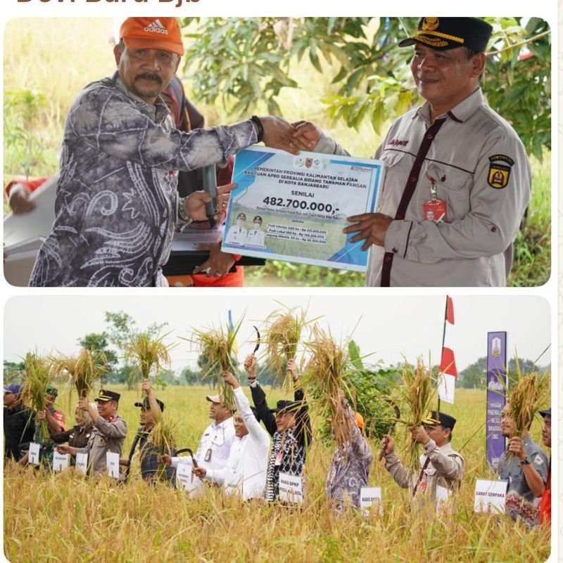 6 BJB 2