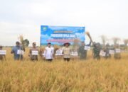 Bupati Dorong Tala Panen Padi Tiga Kali Setahun