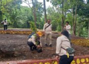 Disparpora Kotabaru Tanam Pohon Bersama wartawan