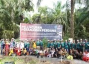 Tanam Pohon Kurangi Emisi