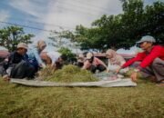 Sambut HUT ke-80 RI, Aparat, Masyarakat dan Mahasiswa KKN Bersinergi 22 Sambut HUT ke-80 RI, Aparat, Masyarakat dan Mahasiswa KKN Bersinergi