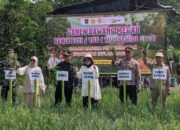 Bupati Tabalong: “Kunci Sukses Petani Kolaborasi, Kerjasama, Tekun dan Disiplin”