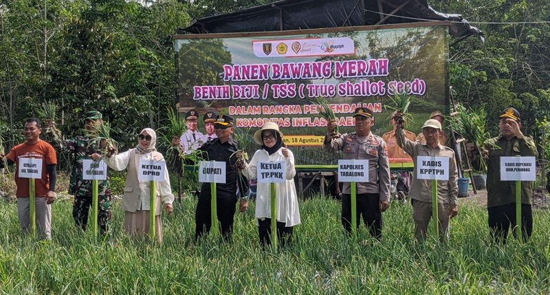 Bupati Tabalong: "Kunci Sukses Petani Kolaborasi, Kerjasama, Tekun dan Disiplin" 1 Hal 9 TABALONG Adv 1 3 klm 2