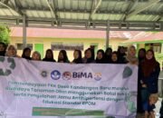 Dosen Uniska Sulap Sampah Plastik Jadi Media Tanam TOGA, Warga Kandangan Baru Antusias! 14 Dosen Uniska Sulap Sampah Plastik Jadi Media Tanam TOGA, Warga Kandangan Baru Antusias!