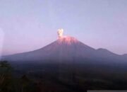 Minggu Pagi Gunung Semeru Empat Kali Erupsi Minggu, Tinggi Letusan 900 Meter